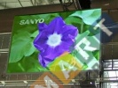 Rental of projection screens